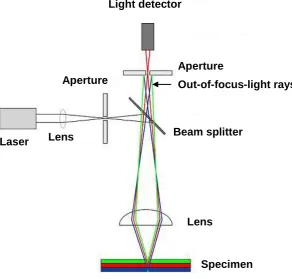 Figure 10. The principal light pathways in confocal microscope. A laser provides the 
