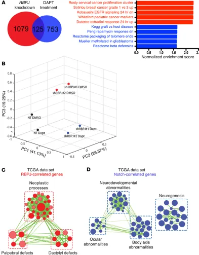 Figure 5. RBPJ induces transcriptional profiles in BTICs distinct from NOTCH activation