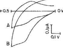 Fig. 4. enzyme, at a bias of Steady state response of the CCE modified with the derivatized 0.4V (vs