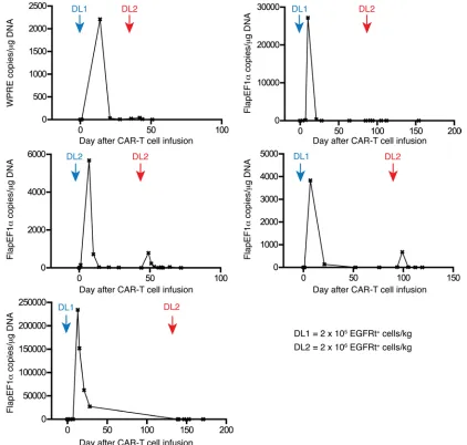 Figure 6. Failure to achieve engraftment of CAR–T cells after second infusions. Patients who had persistent MRD after the first CAR–T cell infusion or compared with their first infusion