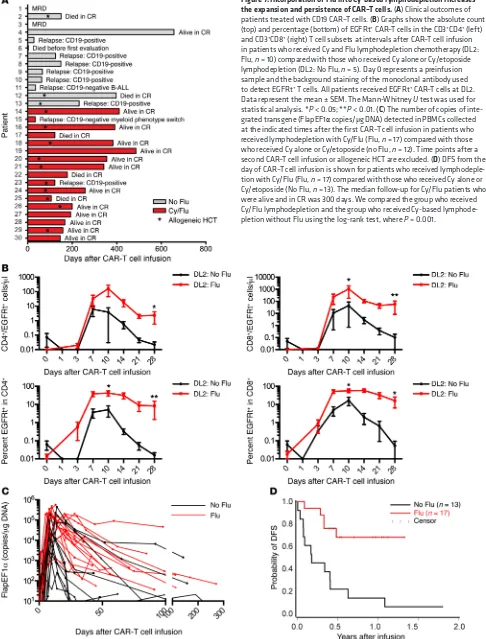Figure 7. Incorporation of Flu into Cy-based lymphodepletion increases the expansion and persistence of CAR–T cells.and CD3 (A) Clinical outcomes of patients treated with CD19 CAR–T cells