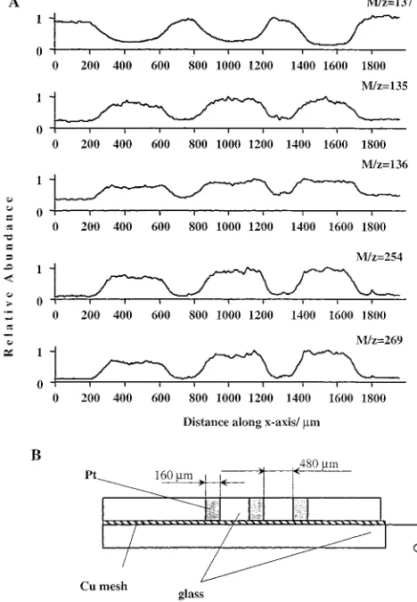 Figure 9. A, dependence of the concentration of DPD (m/z ) 137)and its oxidation products (m/z 135, 136, and 254) on the locationrelative to a 3-Pt strip electrode shown in the inset