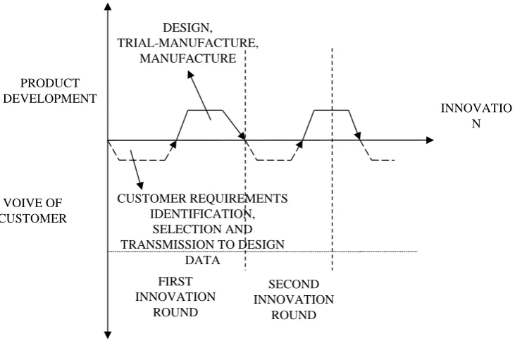 Figure 2. The process of customized product innovation.                                      