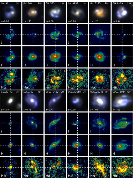 Figure 4. Gallery of case examples from the massive z ∼ 1 SFG sample. PSF-matched three-color postage stamps sized 3