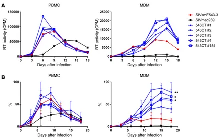 Figure 4. Influence of mutations on in vitro replication capacity. (A) Replication kinetics of SIVsmE543CT#1, 543CT#2, 543CT#3, 543CT#4, and 543CT#154 on PBMCs and MDMs