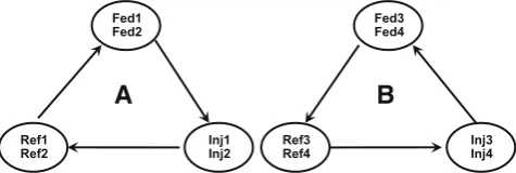Fig. 1 Hybridization design. Each arrow connects two cDNAsamples which are dual-hybridized on the same slide