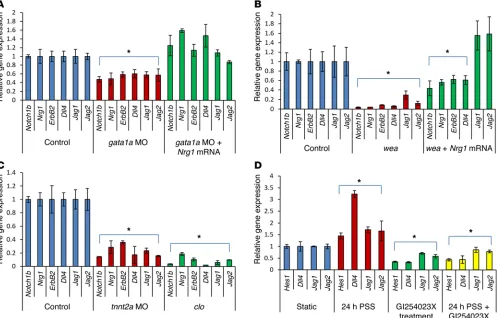Figure 3. Hemodynamic shear stress modulation of Notch ligand, receptor, and target gene expression