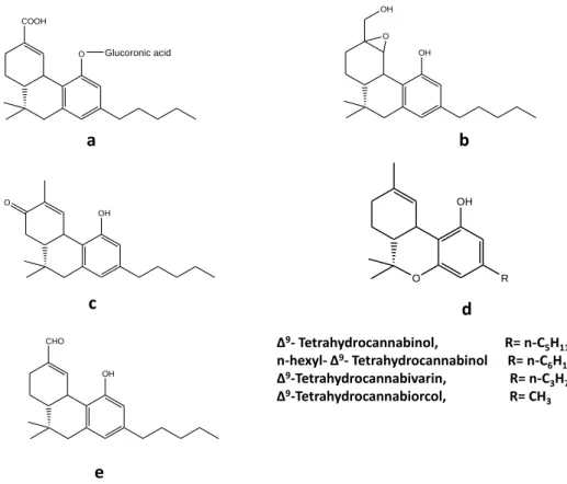 Figure 3: a; Δ 9 -THC-11-oic acid glucoronide b; 11-hydroxy-EHHC c;  8-keto-∆ 9 -THC  d; Derivatives of THC  e; 11-oxo- ∆ 9 - THC