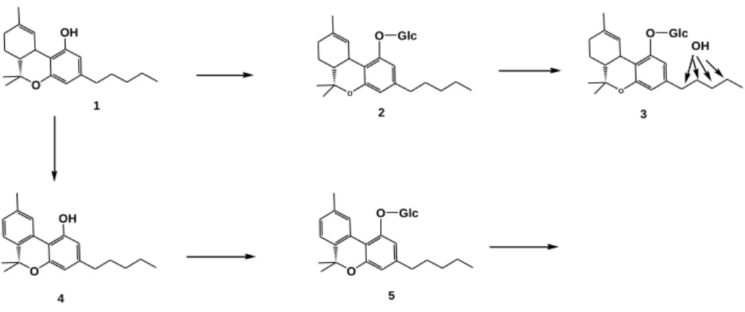 Figure 2: Chemical structures of products 1, 2, 3, 4 and 5.