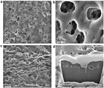 Fig. 2. High resolution SEM micrographs of TiO2 growth via molten salt anodization step: (a) and (b) top view; (c) tilted view of 52� and (d) cross-sectionview after cutting with a focused ion beam (FIB).