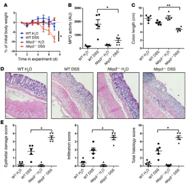 Figure 9. Loss of NLRP3 results in pronounced colitis in our housing 