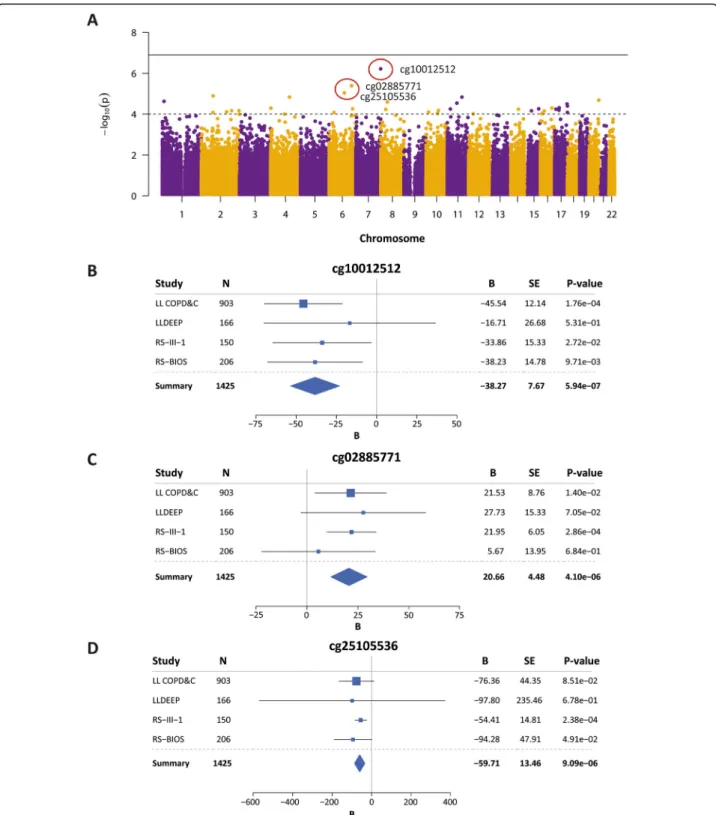 Fig. 1 Manhattan and forest plots of the meta-analysis on four independent epigenome-wide association studies on FEV 1 /FVC in never smokers.