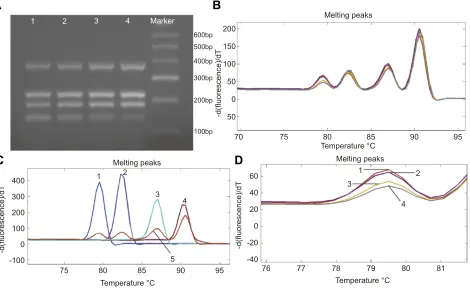 Figure 4 Melting curves of the four genes form HRM analysis plotted on the same graph.Abbreviation: HRM, high resolution melting.