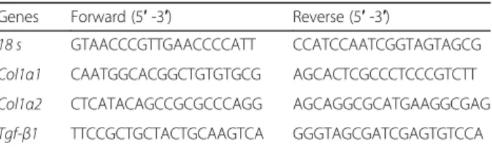 Table 1 Primers for RT-PCR