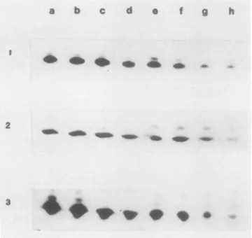 Figure 1 depicts the changes in the amounts of the three sub- sub-units of the CF1 complex during development and ripening of tomato fruits