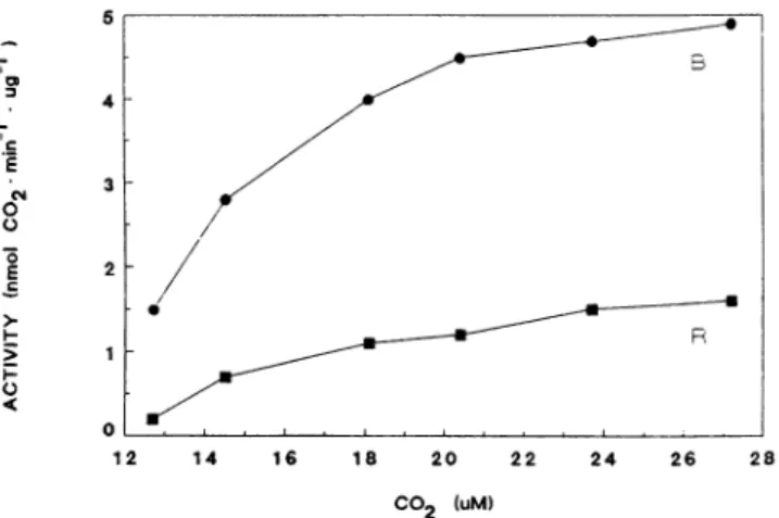 Figure 7. Rubisco carboxylase activity as a function of C02 concen-