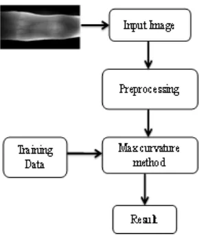 Figure 1.1 Block Diagram of Finger Vein 