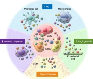 Figure 3. Vesicular exchange in the brain tumor microenvironment. GBM tumors are made up of a heterogeneous group of genetically related cancer cells, shown here as two types of differen-tiated tumor cells (DTCs) within the same tumor