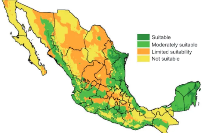 Fig. 1. Maize growing suitability map according to the  base year (1950-2000 mean data).