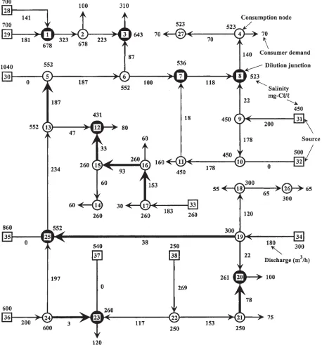 Figure 2. Case 1. Optimal distribution of ﬂow and salinity
