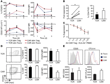 Figure 4. A2-CAR–mediated stimulation and expansion maintains a Treg phenotype. A2-CAR Tregs or Tconvs were stimulated with K562.64 cells loaded αpurity and CAR expression; representative plots on the left and summary plots on the right (CAR-expanded Tregs