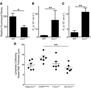 Figure 4. Lymphatic transport and permeability in CCR7-deficient mouse strains.experiments with mice at 10 to 12 weeks of age, mean ± SEM)