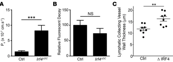 Figure 7. Analysis of the role of IRF4-dependent DCs in lymphatic transport and perme-ability.mice per genotype, mean ± SEM)