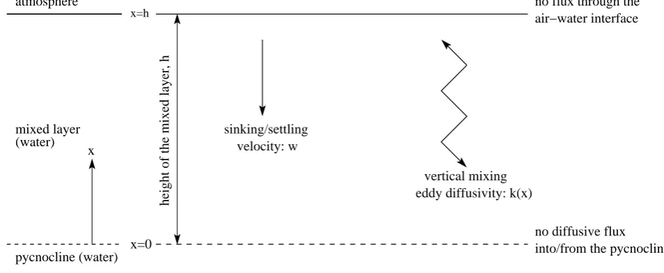 Fig. 2. Sinking-diffusion model: illustration of its geometry, parameters and boundary conditions