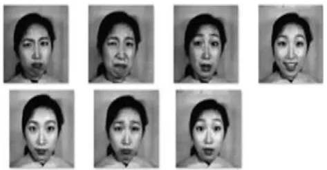 Figure 1. Samples of images from the JAFFE benchmark  database along with expressions (emotions) 