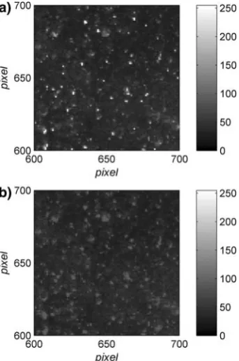 Figure 2limit grayscale intensity value used to cap the image wasequal to shows an example image (‘‘Flume_1’’, 1stimage) before and after the application of IntensityCapping (~1% of the image area is shown)