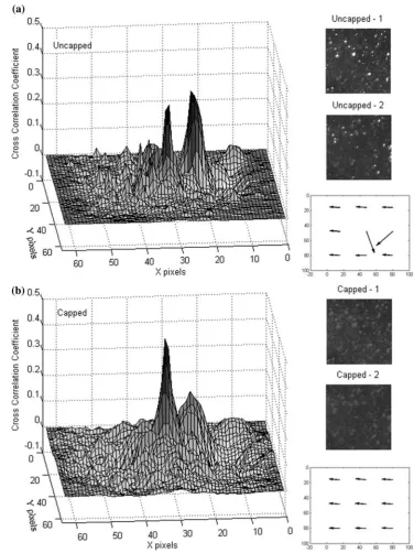 Fig. 4 Cross-correlation752 <correlation coefﬁcient mapscorrespond to the vector inthe center of the displacementﬁeld