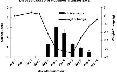 Figure 1. 2 Clinical course of AT-EAE in Lewis rats. 