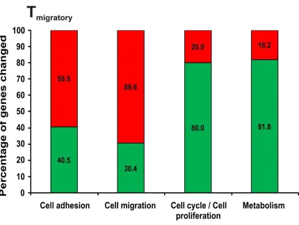 Figure 5. 7 Differential regulation of cell migration and cell cycle processes. 