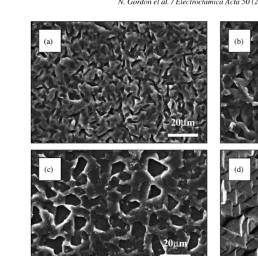 Fig. 2. SEM micrograph of silicon surface obtained subsequent to 1 h texturing via NPD: (a) −10 V; (b) −20 V; (c) −30 V vs