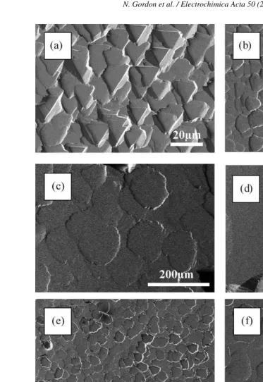 Fig. 6. SEM micrograph of as-cut surface of (1 1 1) p-type silicon subsequent to −40 V NPD process in 32 wt.% KOH for: (a) 1 min; (b) 5 min; (c) 15 min; (d)45 min; and in 50 wt.% KOH for (e) 1 min; (f) 5 min; (g) 10 min and (h) 20 min.