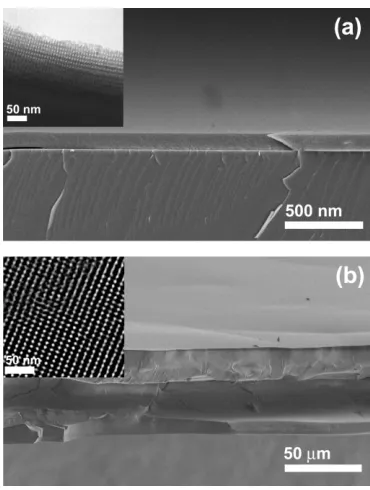 Figure 1. Electron microscopy images of mesoporous silica films with cu-bic (Im3¯m) structures
