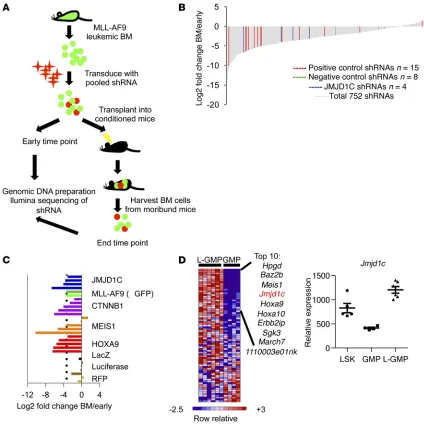 Figure 1. In vivo shRNA screening of MLL-AF9 targets identifies JMJD1C as essential for MLL-AF9 leukemia