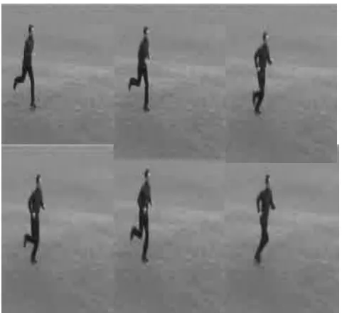 Fig-1: Segmentation result of a test case video.  