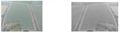 Fig.3(a) RGB image      Fig.3(b) Grayscale image 