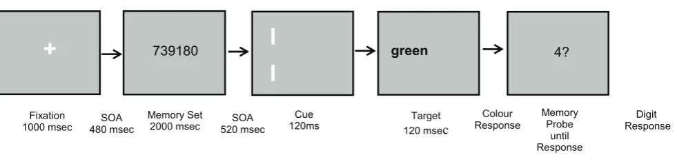 Figure 1. An example of a typical trial in the high WM load condition of Experiment 1