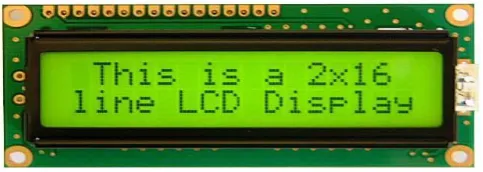 Fig 5: LCD Display  