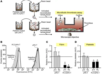 Figure 4. Thrombolytic effects of PLT/uPA-T in human blood. (A) Schematic beginning with isolated human platelets incubated with prodrugs or control PBS and then gel filtered