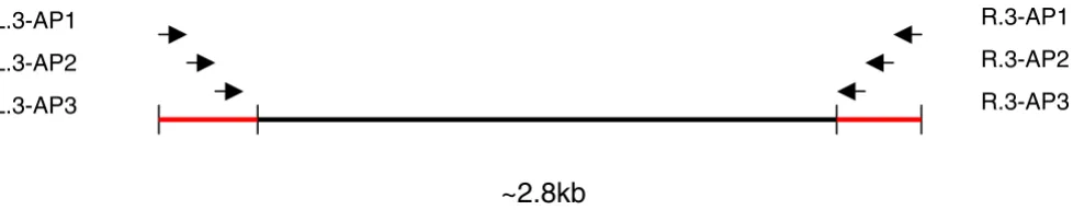 Table 3 