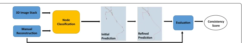 Fig. 6 The workflow of consensus generation using the smart pruning module. Multiple automatic reconstructions are filtered by CNN‑based classification models first