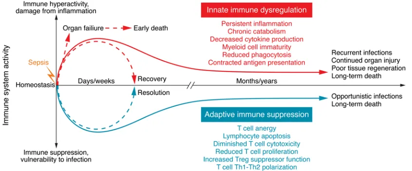 Figure 2. Immune dysregulation in sepsis. New insights into immune dysregulation have been gained using samples from deceased septic patients as well as from severely injured trauma patients