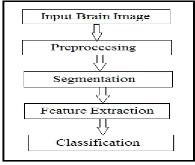 Fig -1: Stages in Brain Tumor Detection 