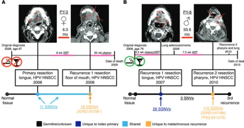 Figure 4. Spatial and temporal evolution of disease in patients harboring newly arisen DDR2 mutations in their recurrent tumors