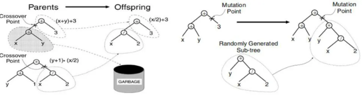 Figure 1 - GP Arithmetic expressions example of crossover and mutation operations [7]