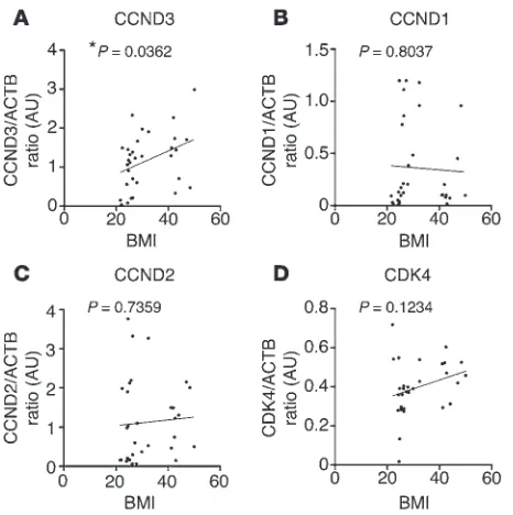 Figure 2. Positive correlation between CCND3 expression and human VAT mass.son’s  (A–D) Correlation between the CCND3/ACTB ratio (n = 32, Pearson’s r = 0.3717, P < 0.05) (A), the CCND1/ACTB ratio (n = 32, Pear-r = –0.04574, P < 0.05) (B), the CCND2/ACTB ra