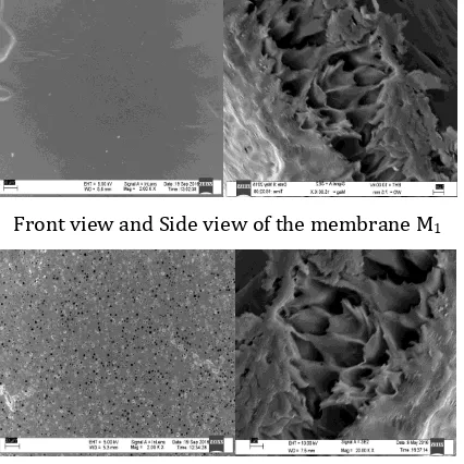 Fig- 5:  SEM photographs of Membranes prepared with different additives; M1. PEG M2. Ethanol; M3